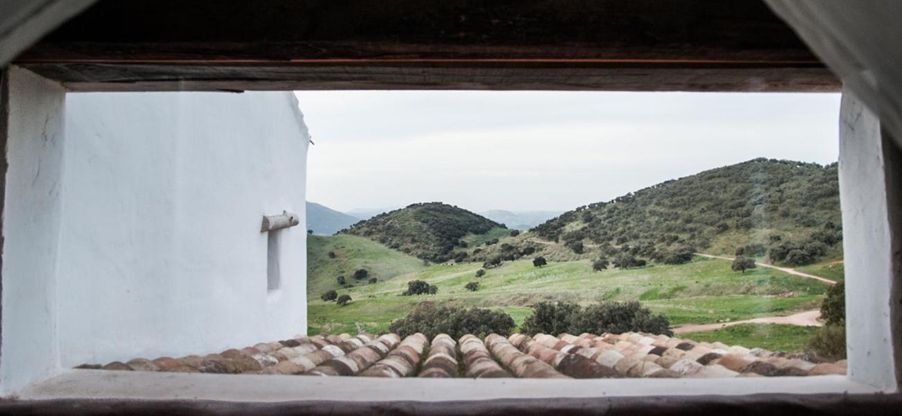 La Donaira Casa de hóspedes Montecorto Exterior foto