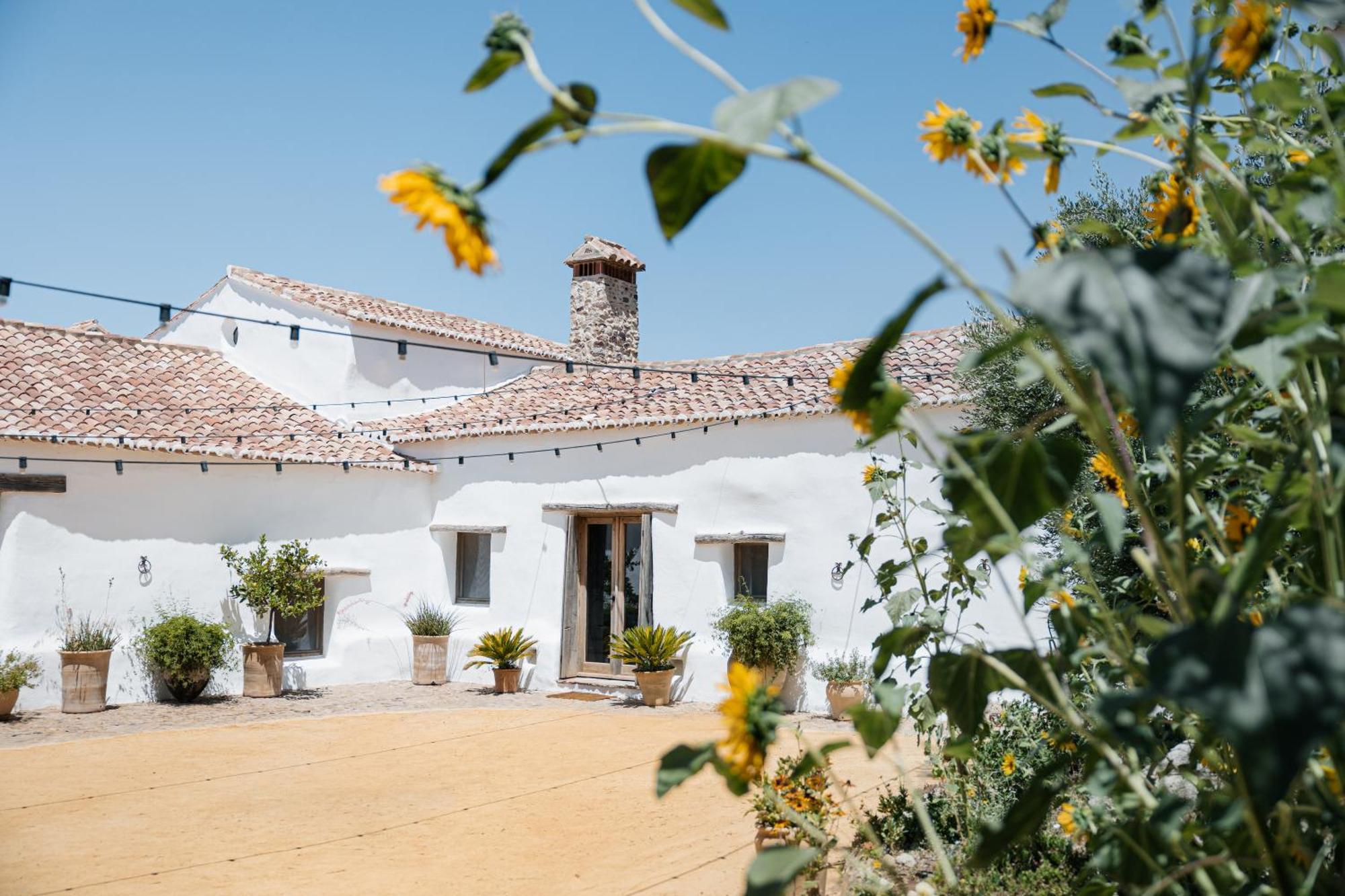 La Donaira Casa de hóspedes Montecorto Exterior foto